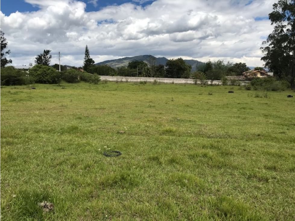 VENDO TERRENO PUEMBO 7152 M2 PLANOS SECTOR COLEGIOS USO MULTIPLE - 1
