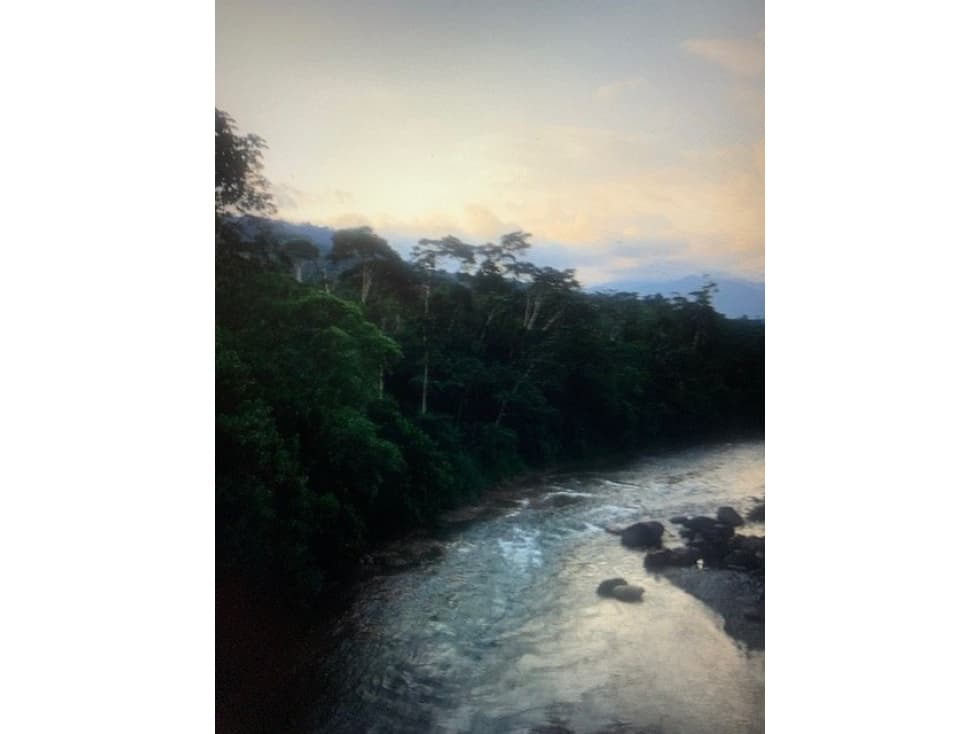 Terreno de 32 Hectáreas en Tena, Provincia de Napo - 1