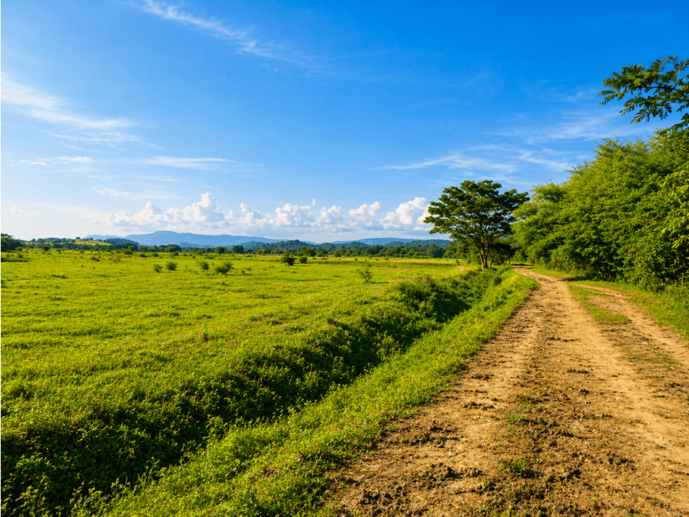 FINCA PRODUCTIVA EN VENTA | 68 HECTÁREAS, Petrillo - 1