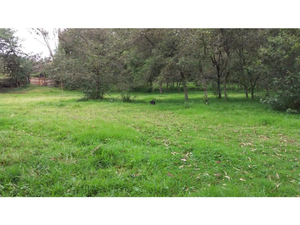 VENTA DE PROPIEDAD EN ZONA INDUSTRIAL OTAVALO - 37000 M2 - 1