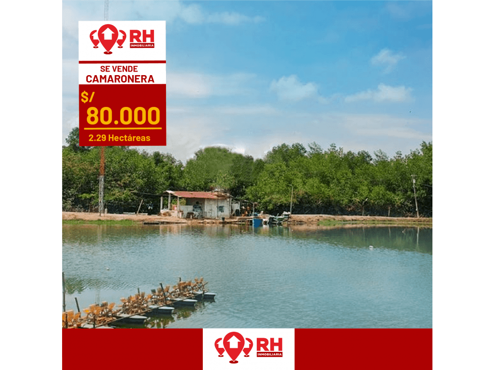 CAMARONERA EN VENTA EN PUERTO JELÍ, SANTA ROSA #YE02 - 1