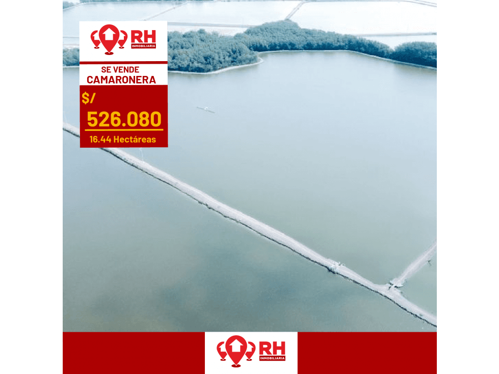 CAMARONERA EN VENTA CON EXCELENTE PRODUCCIÓN #AHHS - 1