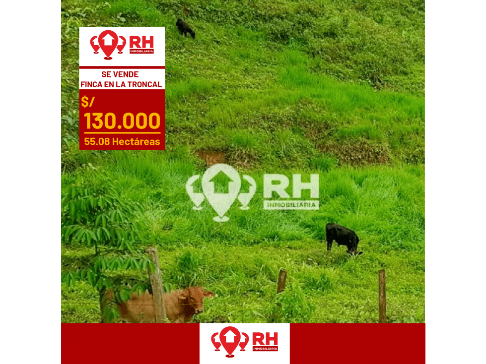 FINCA EN VENTA EN LA TRONCAL DE CAÑAR DE  55.08 HECTÁREAS #896 - 1