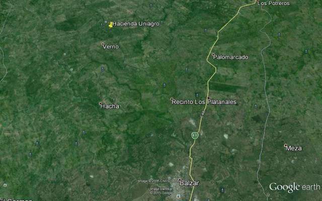 HACIENDA 80 HA BALZAR GUAYAS ZONA NORTE - 1