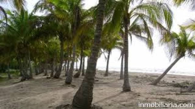 Ideal para desarrolar quintas vacacionales - 1