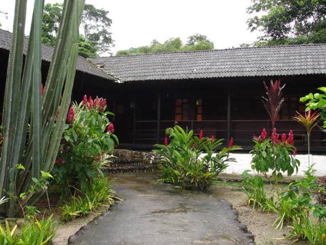 LODGE AMAZONICO ENTRE TENA Y PUYO - 1