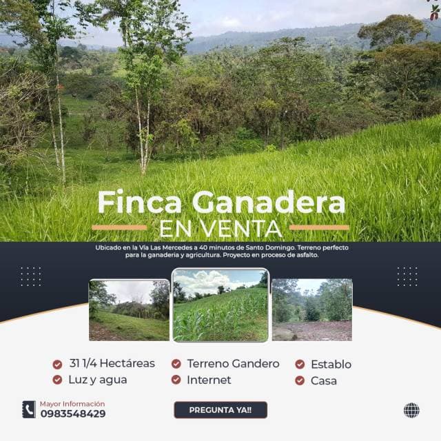 Venta de Finca Ganadera 31 Hectareas - 1