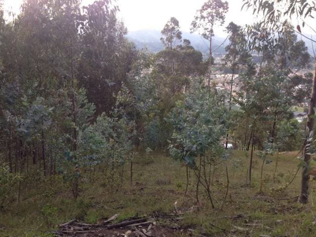 Vendo Terreno en Parroquia Turi 5350 m2 - 1