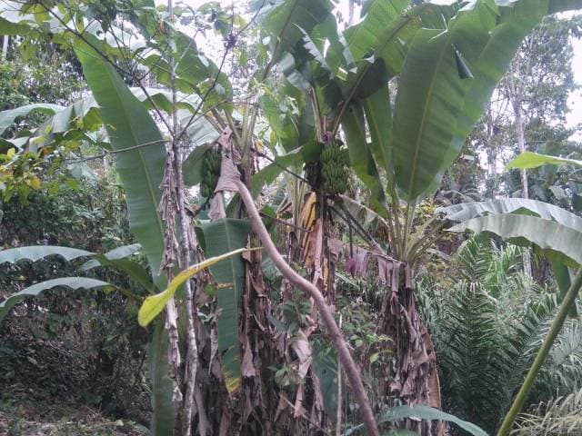 VENDO HERMOSO TERRENO EN PUERTO QUITO - 1