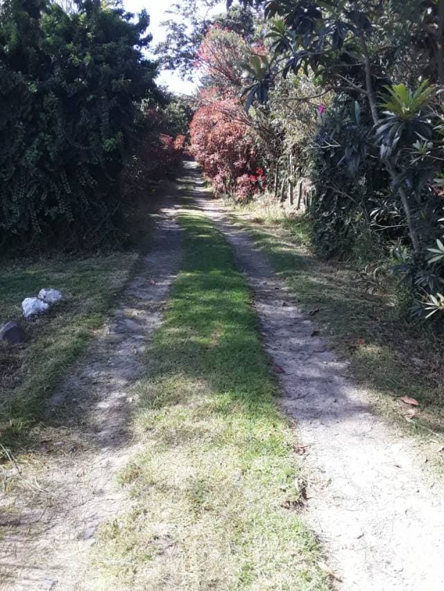 FINCA QUINTA - 1