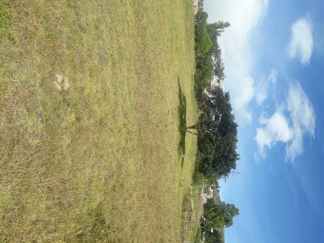 ARRIENDO TERRENO - 1