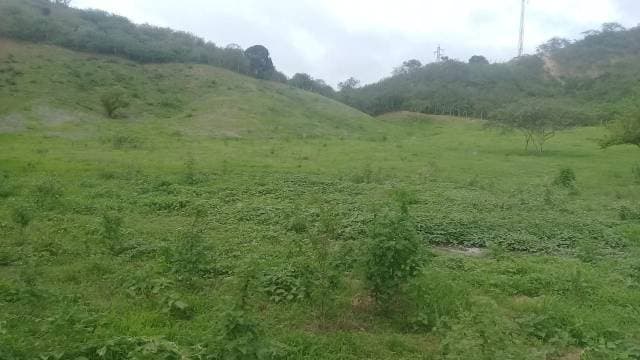 Terreno En Venta De 10.658 Metros Cuadrados - 1