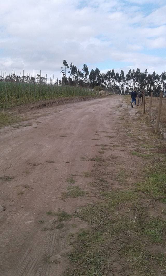 SE VENDE HERMOSOS LOTES DE TERRENO EN EL SECTOR DE LOS OVALOS ALTOS NATABUELA-IMBABURA - 1