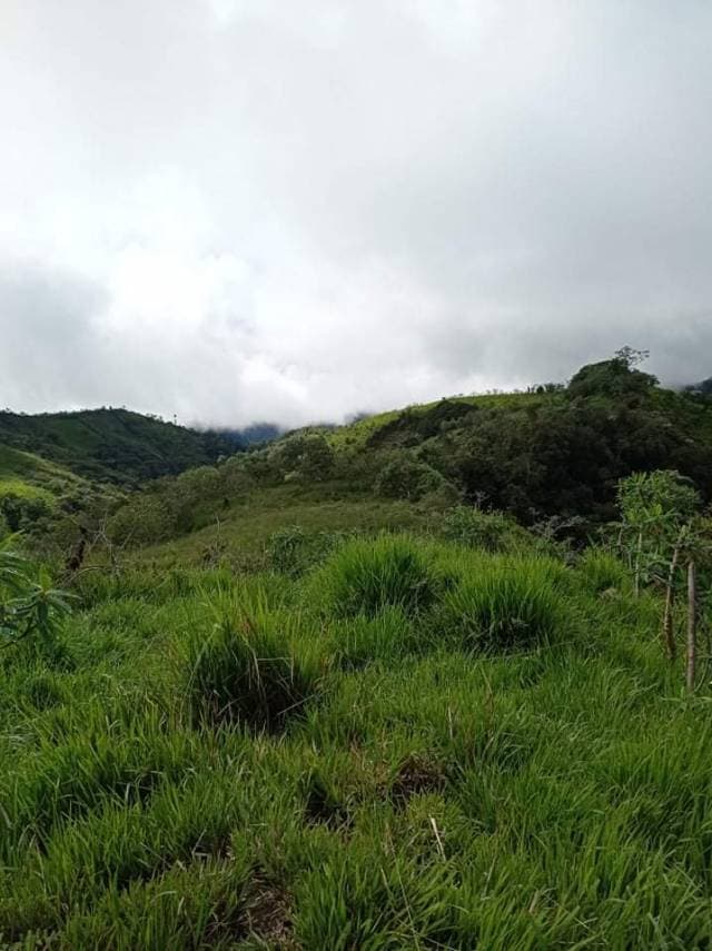 Finca en venta ubicada en peñaherrera-intag-cotacachi - 1