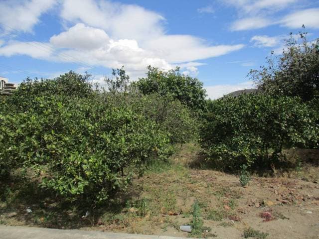 Venta de Terreno en Guayllabamba - 1