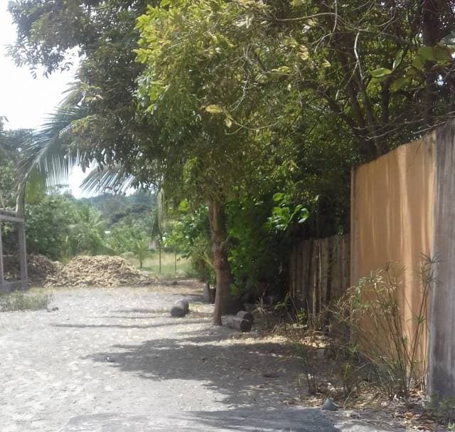 Terreno en venta Mompiche, frente a la playa - 1