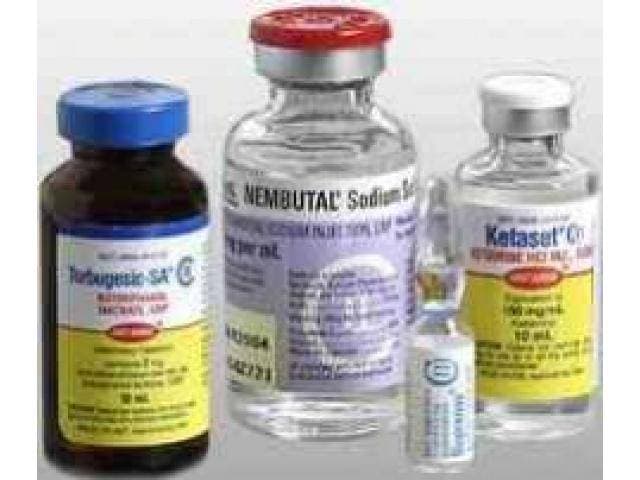 Pentobarbital sódico Nembutal de calidad a la venta - 1