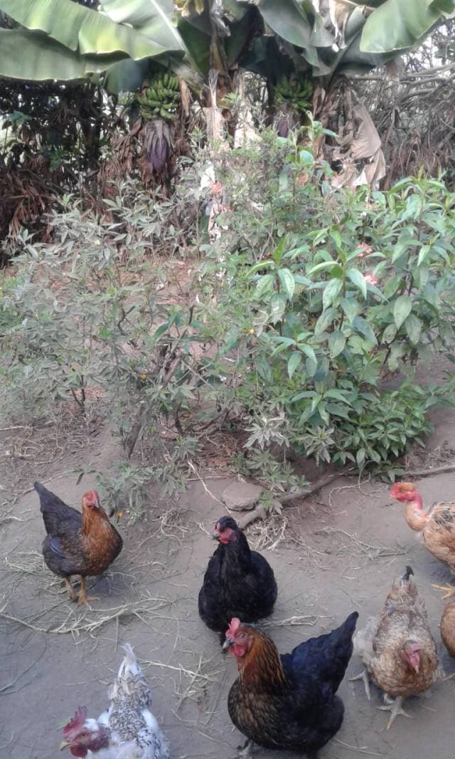 Venta Terreno - 1