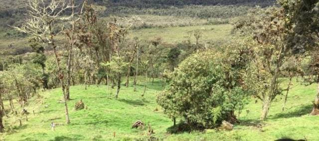 Venta De Finca Agro-ganadera En Baeza - 1