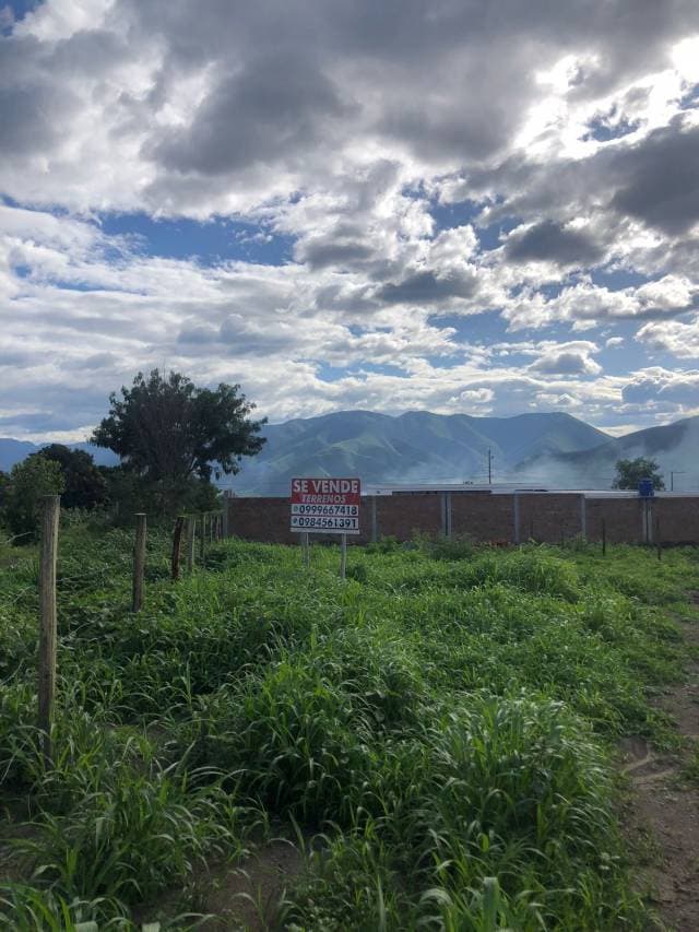 TERRENOS EN VENTA - 1
