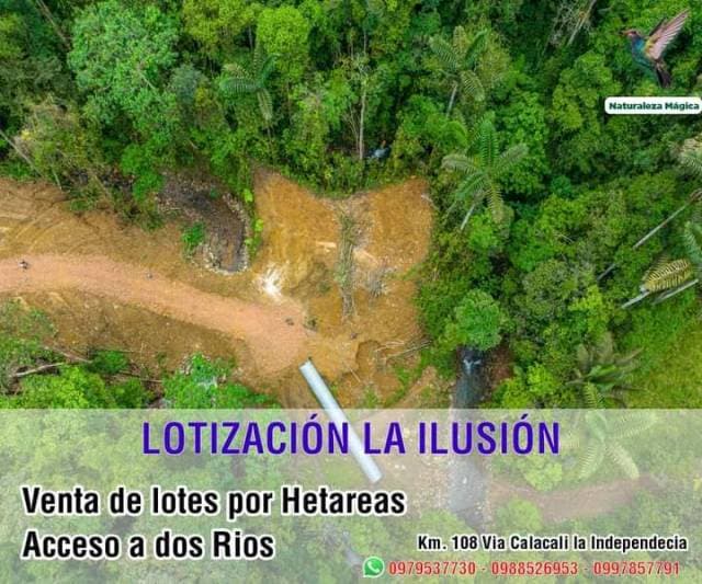 Merci Rivera Terrenos en Venta Por hectáreas  con Carretera Puente y hermoso rio en La viaPrincipal - 1