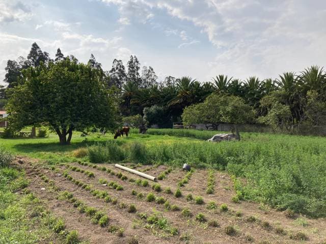 Terreno En Venta - Tumbaco - 1