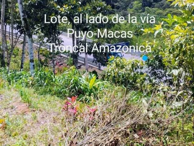 VENTA DE UN LOTE DE TERRENO - 1