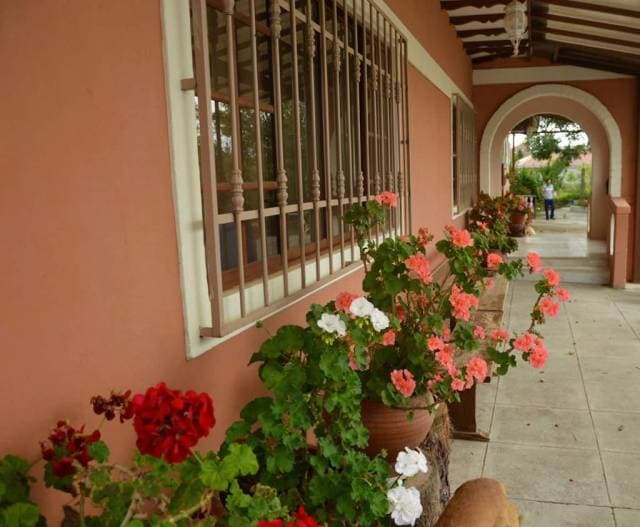 Venta de un terreno que tiene 10,000 m2. - 1