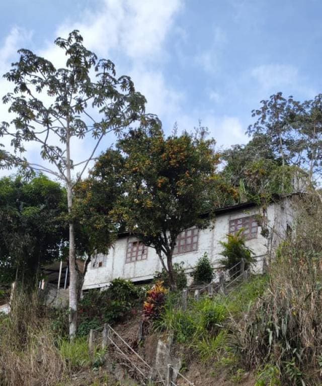 TERRENO CON CASA POR REMODELAR - 1