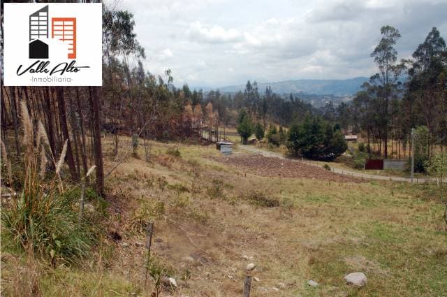 TERRENO AMPLIO EN HORNAPALA. - 1