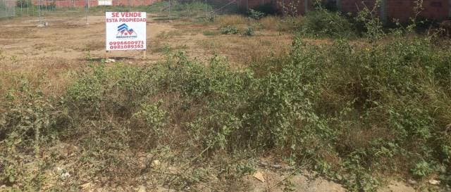 SE VENDE  UN LINDO TERRENO EN CALLE VEHICULAR EN NARANJAL - 1