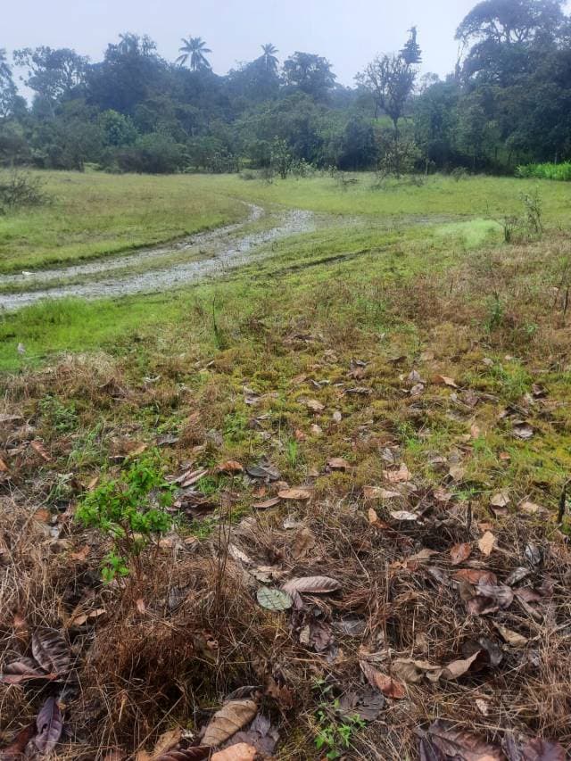 Hermoso terreno 3n venta - 1