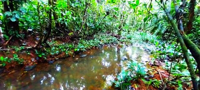 Vendo finca de 46 hectareas con acceso y rios - 1