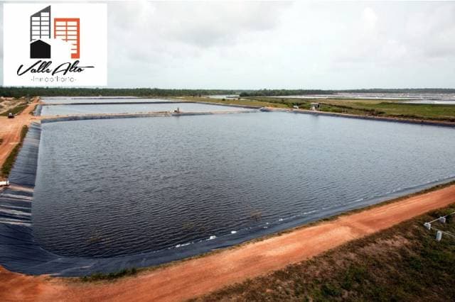 CAMARONERA EN LA PROVINCIA DE GUAYAS. - 1