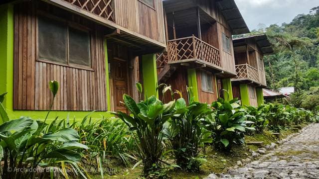 Venta de Propiedad en la Amazonía Ecuatoriana – 22 Hectáreas con Lodge y Acceso a Río - 1