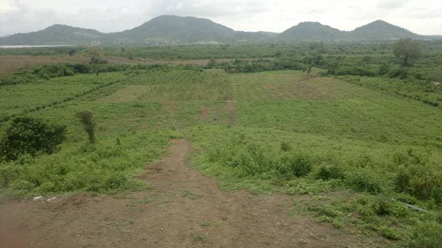 Vendo finca en Santa Elena de 20 hectareas - 1
