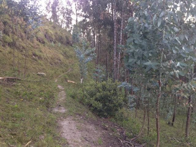 Vendo Terreno 5350 m2 Ubicado en Turi Sector Tierra Blanca - 1