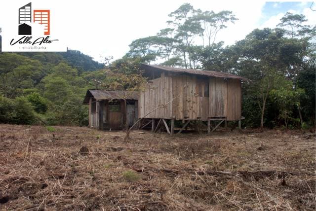 FINCA CON PROYECCION TURISTICA. - 1