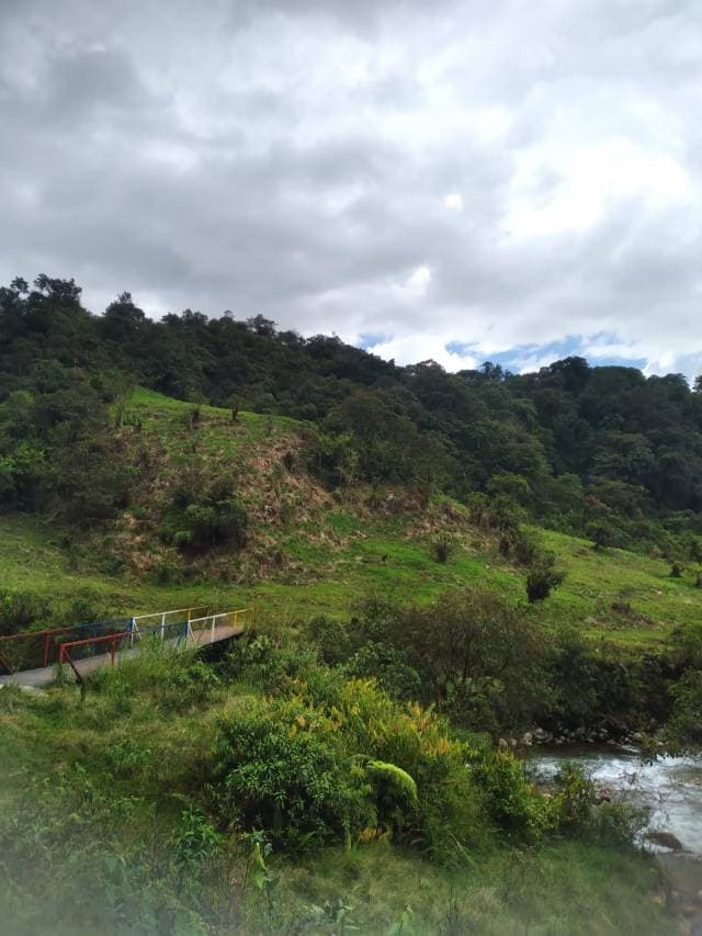 Se vende un terreno, ideal para inversionistas o amantes de la naturaleza, que buscan una propiedad con gran valor ecológico y potencial de desarrollo. - 1