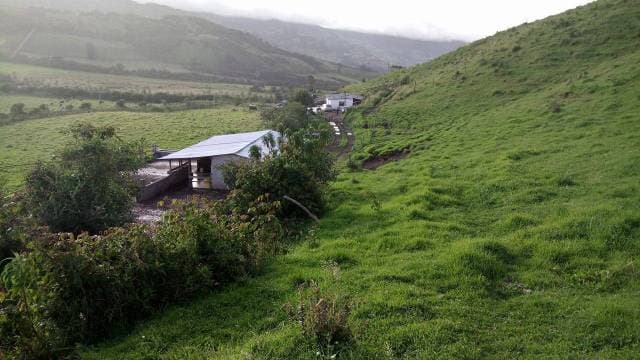 HACIENDA VIA SELVA ALEGRE A 20 MINUTOS DE OTAVALO - 1