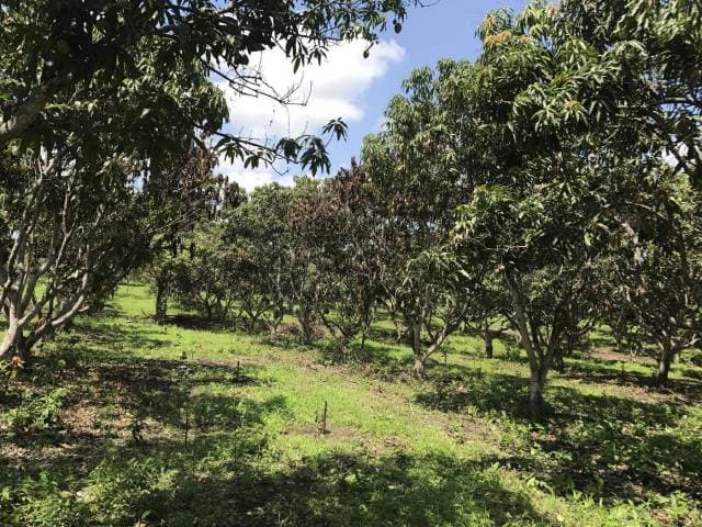 VENTA DE FINCAS - 1