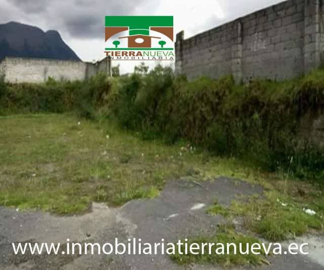 EN VENTA LOTE DE TERRENO DE 1.300m2 EN NATABUELA - 1