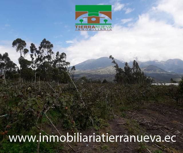 VENDO LOTE DE TERRENO DE 3.500m2 EN ATUNTAQUI - 1