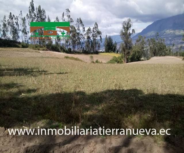 SE VENDE LOTE DE TERRENO DE 5.554M2 EN COTACACHI - 1