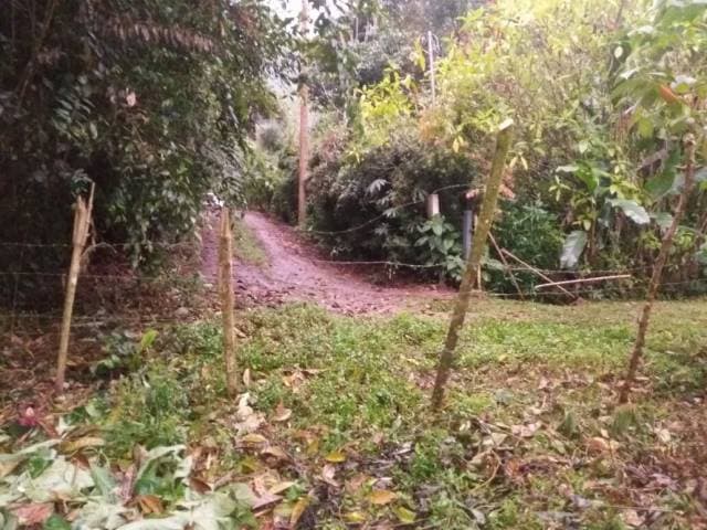 TERRENO DE OPORTUNIDAD EN MINDO CERCA AL MARIPOSARIO - 1