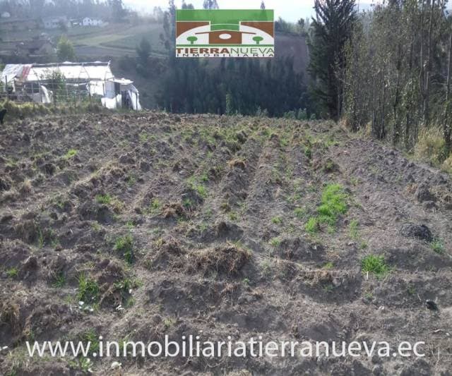 SE VENDE EN OTAVALO CASA DE CAMPO - 1