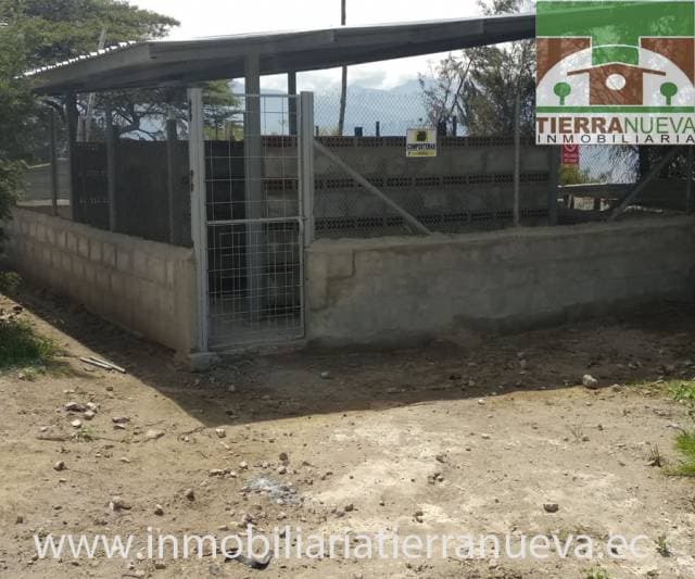VENDO 2 HECTAREAS DE TERRENO  EN MALCHINGUI - 1