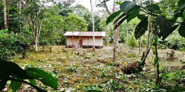 FINCA PEQUEÑA - 1