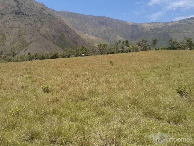 TERRENO DE 7 HECTAREAS Y MEDIA EN PAGMA / ALAUSI - 1