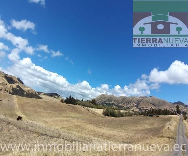 EN VENTA 6 HECTAREAS A SOLO 10 MINUTOS DE CAYAMBE - 1